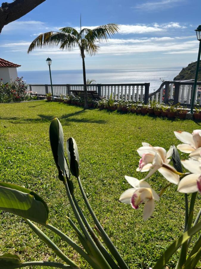 Vila Tropical Garden Arco da Calheta  Exteriér fotografie